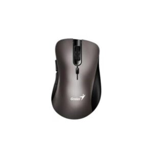 MOUSE GENIUS RS2 ERGO 8100S CHAMPAGNE TITANIUM 31030040402
